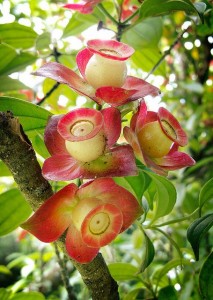 ea3dbe943aa3f19c3dc4878d11460f8f